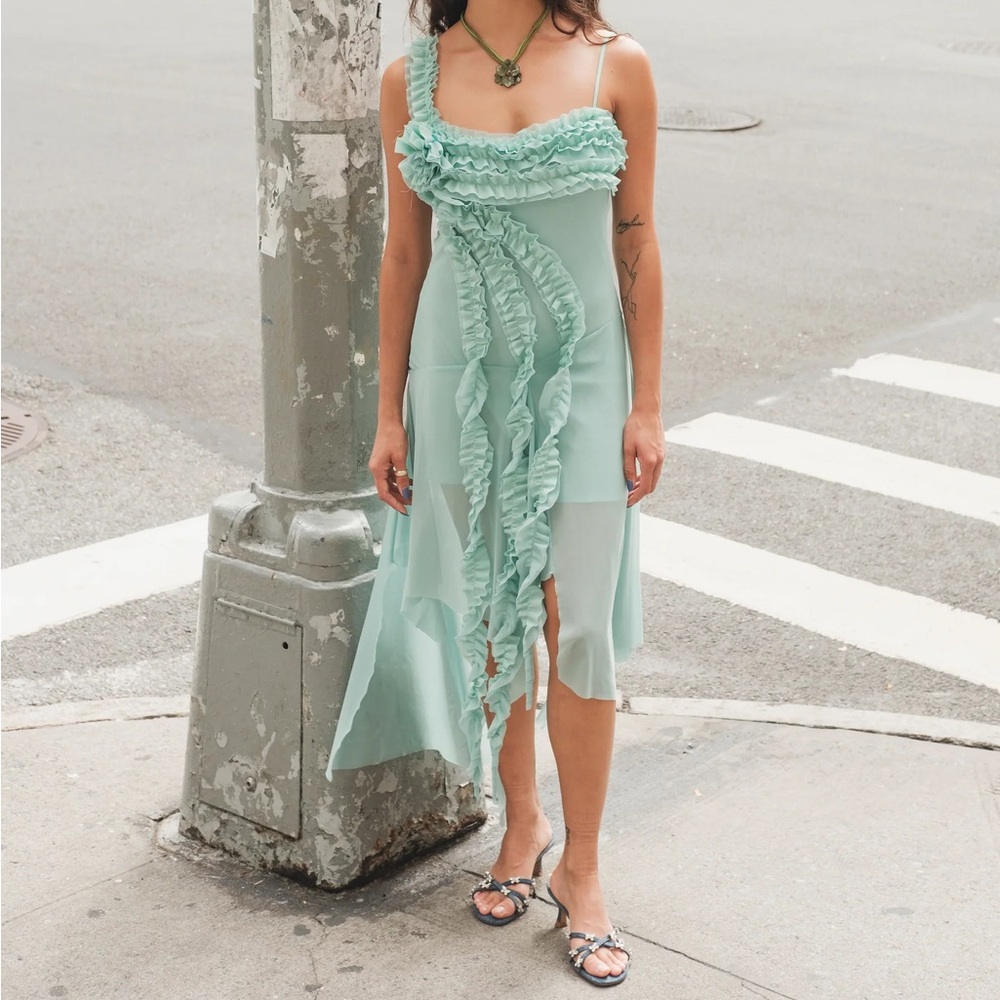 Tyler McGillivary Lida dress never worn